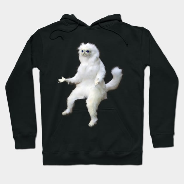 White Cat Cat Meme Hoodie by jesse_kyle_